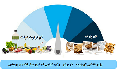  رژیم های غذایی کم کربوهیدرات و پر پروتئین بر کاهش وزن و اشتها