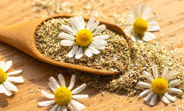 گیاه بابونه چه خواصی دارد؟