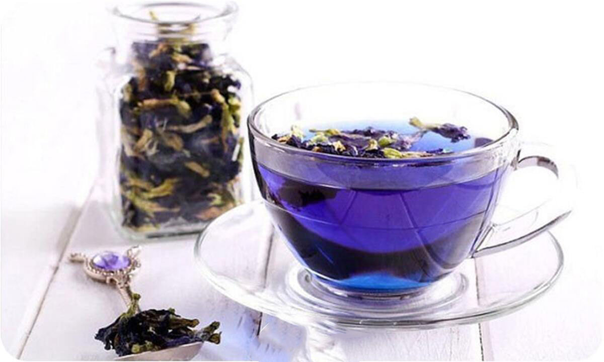 دمنوش گل گاو زبان