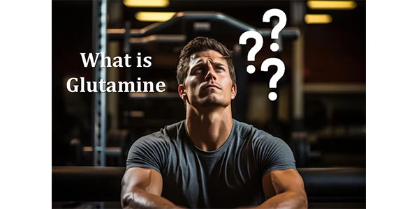 گلوتامین